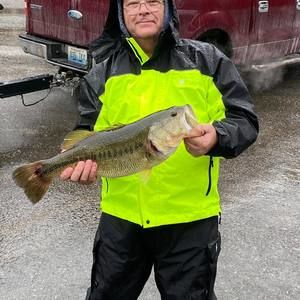 Meet your Posher, Archie